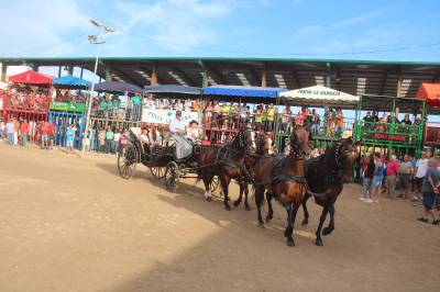 Fotografia /Galeria/2016/10/149141_84231/2_M1.jpg