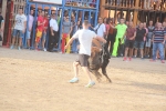 Las exhibiciones taurinas concluyen con un herido por asta de vaquilla