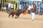 Las exhibiciones taurinas concluyen con un herido por asta de vaquilla