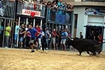 Nules abre el capítulo taurino de las fiestas de la Soledad