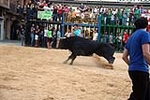 Nules abre el capítulo taurino de las fiestas de la Soledad