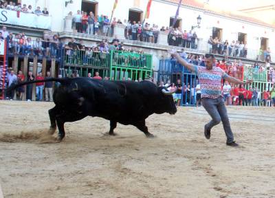 Fotografia /Galeria/2016/10/149143_84232/5_M1.jpg