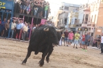 Moncofa comença les festes de Sant Antoni amb una jove ferida pel bou