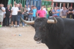 Moncofa comença les festes de Sant Antoni amb una jove ferida pel bou