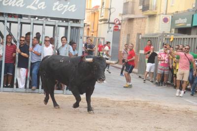 Fotografia /Galeria/2016/10/149145_84233/2_M1.jpg