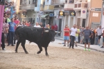 Moncofa comença les festes de Sant Antoni amb una jove ferida pel bou