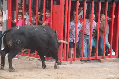 Fotografia /Galeria/2016/10/149145_84233/3_M1.jpg