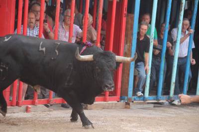 Fotografia /Galeria/2016/10/149145_84233/4_M1.jpg