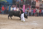 Moncofa comença les festes de Sant Antoni amb una jove ferida pel bou