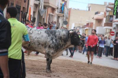 Fotografia /Galeria/2016/10/149345_84384/3_M1.jpg