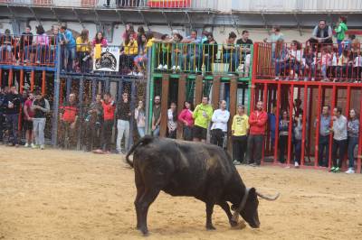 Fotografia /Galeria/2016/10/149410_84434/2_M1.jpg