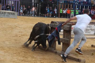 Fotografia /Galeria/2016/10/149410_84434/4_M1.jpg