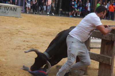 Fotografia /Galeria/2016/10/149410_84434/6_M1.jpg