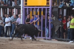 Moncofa posa el punt i final a les festes de Sant Antoni
