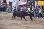 Moncofa posa el punt i final a les festes de Sant Antoni