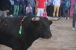 Moncofa posa el punt i final a les festes de Sant Antoni