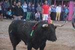 Moncofa posa el punt i final a les festes de Sant Antoni