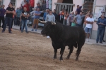Moncofa posa el punt i final a les festes de Sant Antoni