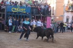 Moncofa posa el punt i final a les festes de Sant Antoni