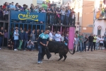 Moncofa posa el punt i final a les festes de Sant Antoni
