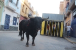 Moncofa posa el punt i final a les festes de Sant Antoni