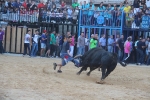 Nules posa el punt i final a les exhibicions taurines