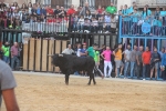 Nules posa el punt i final a les exhibicions taurines