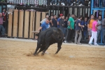 Nules posa el punt i final a les exhibicions taurines