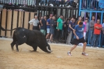 Nules posa el punt i final a les exhibicions taurines