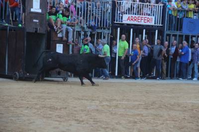 Fotografia /Galeria/2016/10/149448_84461/6_M1.jpg