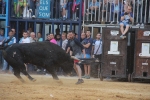 Nules posa el punt i final a les exhibicions taurines