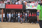 Nules posa el punt i final a les exhibicions taurines