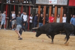 Nules posa el punt i final a les exhibicions taurines