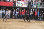 Nules posa el punt i final a les exhibicions taurines