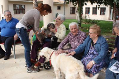 Los usuarios de la residencia de la tercera edad de Almassora experimentan los beneficios de la terapia con perros