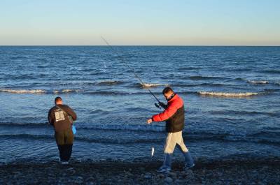 Una inusual concentraci de peixos a la desembocadura del Millars congrega desenes de pescadors