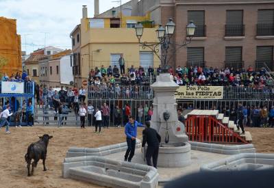 Fotografia /Galeria/2016/3/141285_78420/4_M1.jpg