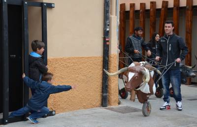 Fotografia /Galeria/2016/3/141285_78420/5_M1.jpg