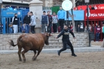 Exito absoluto de la nueva ubicación de la Pascua Taurina y del I Mesón de la Tapa y la Cerveza