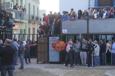 Fotografia /Galeria/2016/4/141566_78620/4_M1.jpg