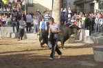 Punto y final a las exhibiciones taurinas