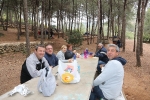 Romería de San Vicente en l'Alcora con misa, almuerzo, mocadorà y concierto
