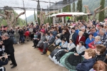 Romería de San Vicente en l'Alcora con misa, almuerzo, mocadorà y concierto