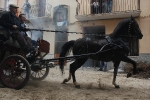 Nules viu Sant Vicent amb més de 100 carros participant en la cercavila