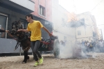 Nules viu Sant Vicent amb més de 100 carros participant en la cercavila