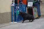 Terminan las Fiestas patronales de La Foia que iniciaron el 29 de abril
