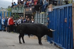 Terminan las Fiestas patronales de La Foia que iniciaron el 29 de abril