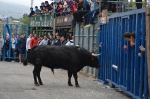 Terminan las Fiestas patronales de La Foia que iniciaron el 29 de abril