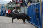 Terminan las Fiestas patronales de La Foia que iniciaron el 29 de abril