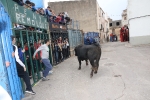Terminan las Fiestas patronales de La Foia que iniciaron el 29 de abril